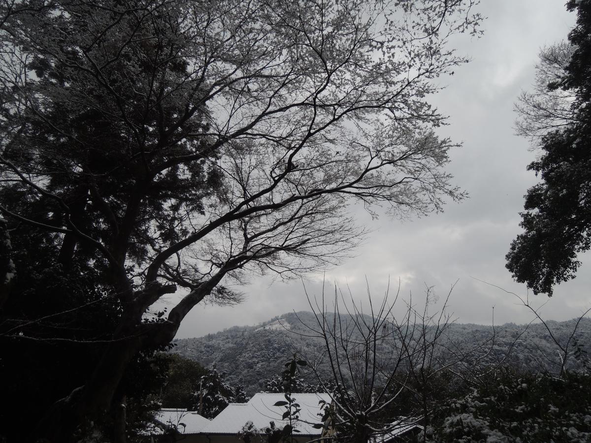 Ryokan Inn Yoshida-Sanso Киото Экстерьер фото